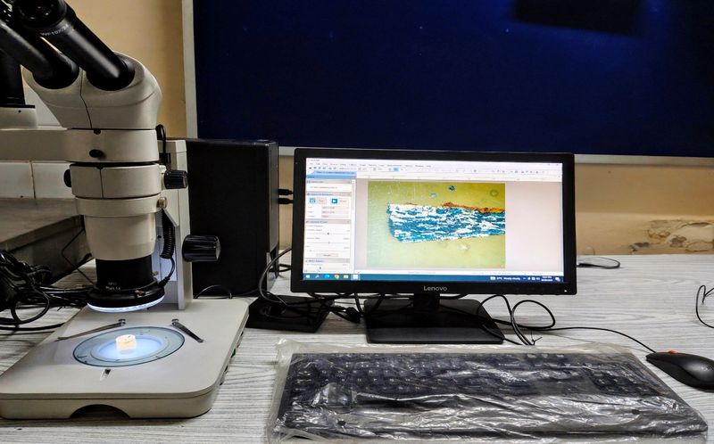 Stereo Zoom Microscope